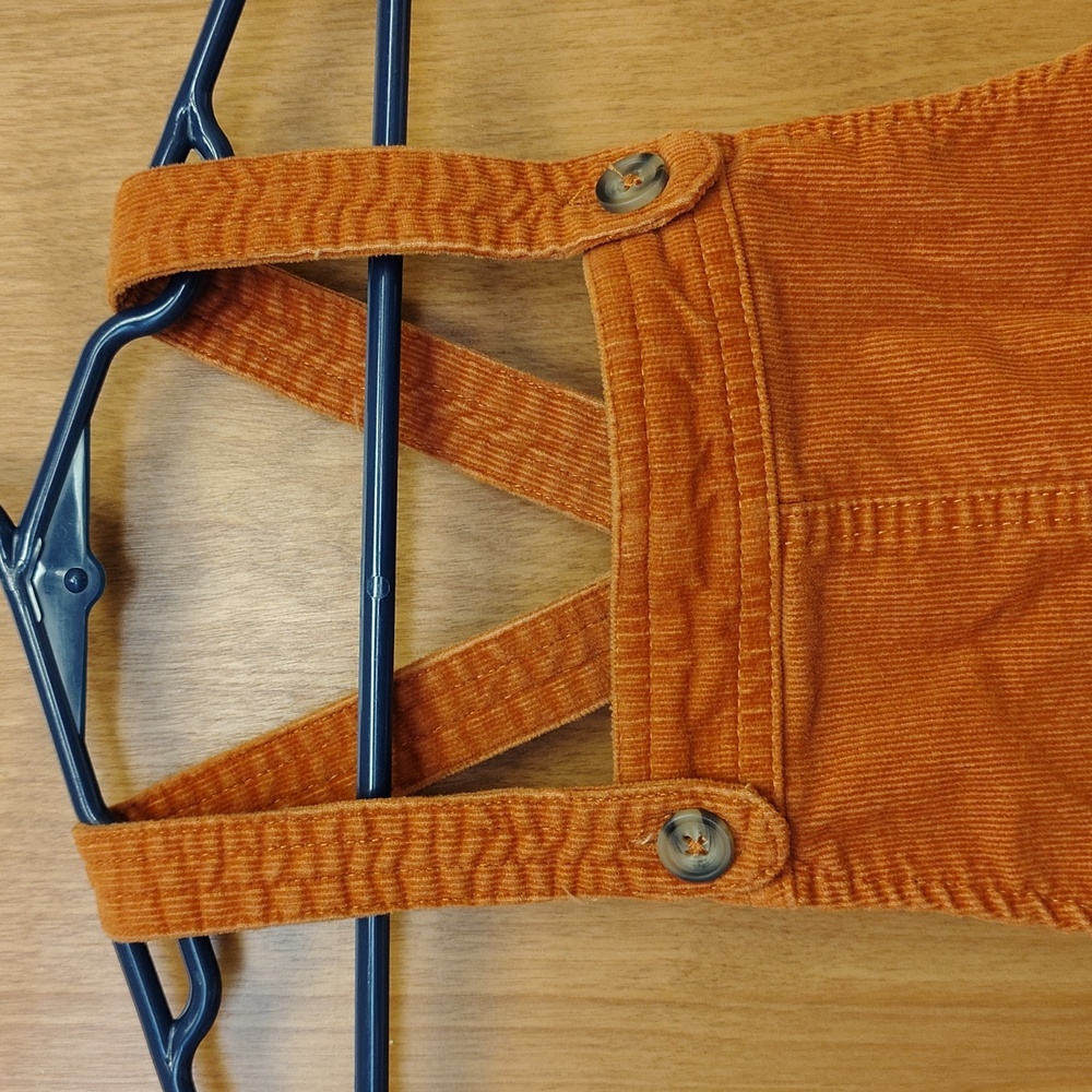 Isaac Mizrahi Orange Corduroy Embroidered Pumpkin Dress - Picture 4 of 8